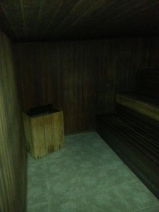 Sauna seca 2